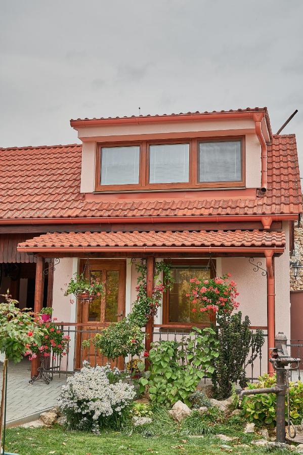 בויניצה "Na Skale " Apartment In Center, Free Parking מראה חיצוני תמונה